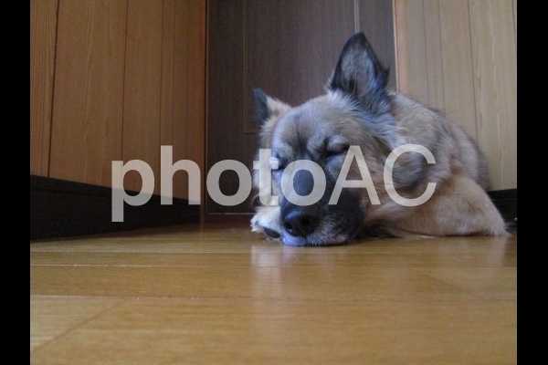 66feceb23c5b06ef05721bbcb525b490_w.jpg
