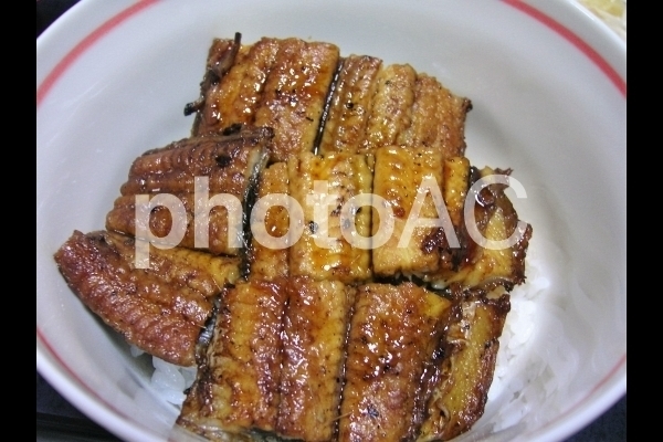 うな丼.jpg