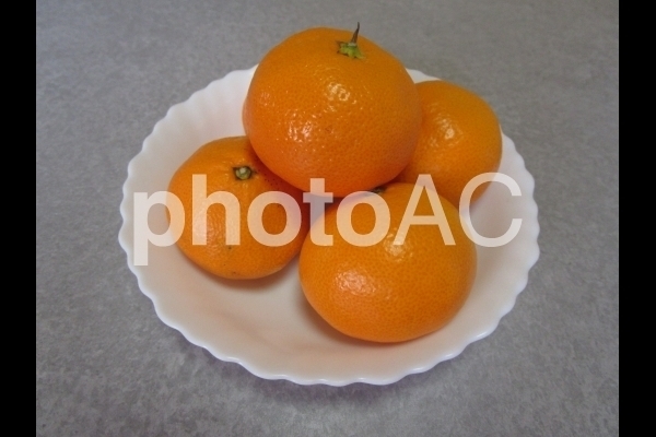 みかん 2.jpg