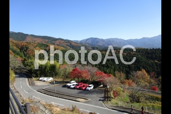 展望台からの眺め 紅葉.jpg