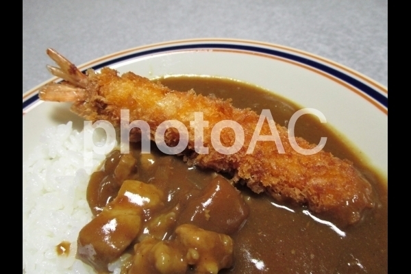 海老フライカレーのアップ.jpg