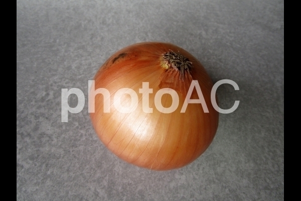 玉ねぎ.jpg