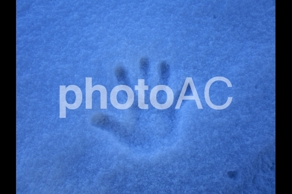 雪の手形.jpg