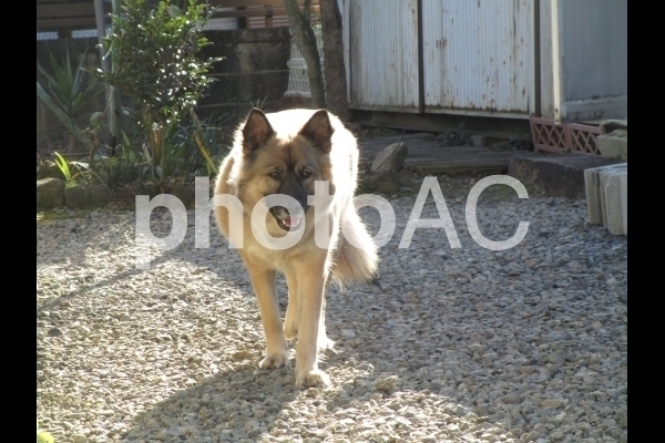 cd214da2680b9ecee14043560f03a7c9_w.jpg
